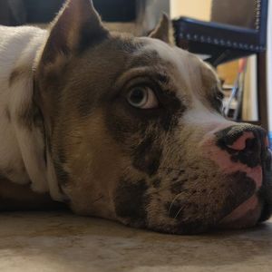 Meet your Posher, Andrew